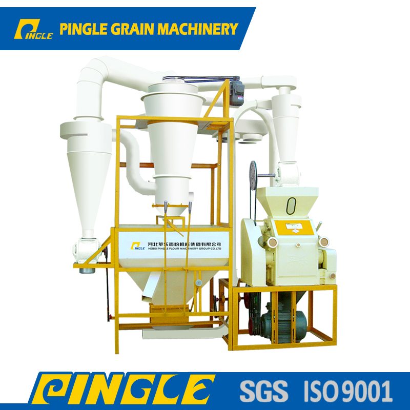 Family type plant, easy operation, suitable for grain processing